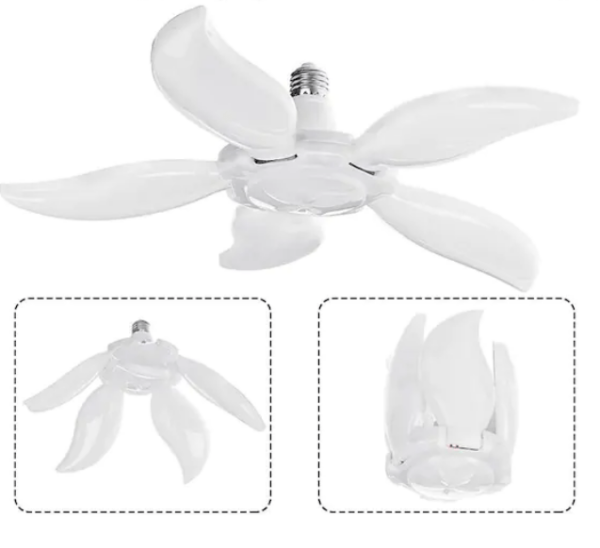 Winlight 5 Kollu Mango Led (E 27)